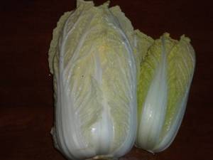 画像２（畑に残っていた白菜）