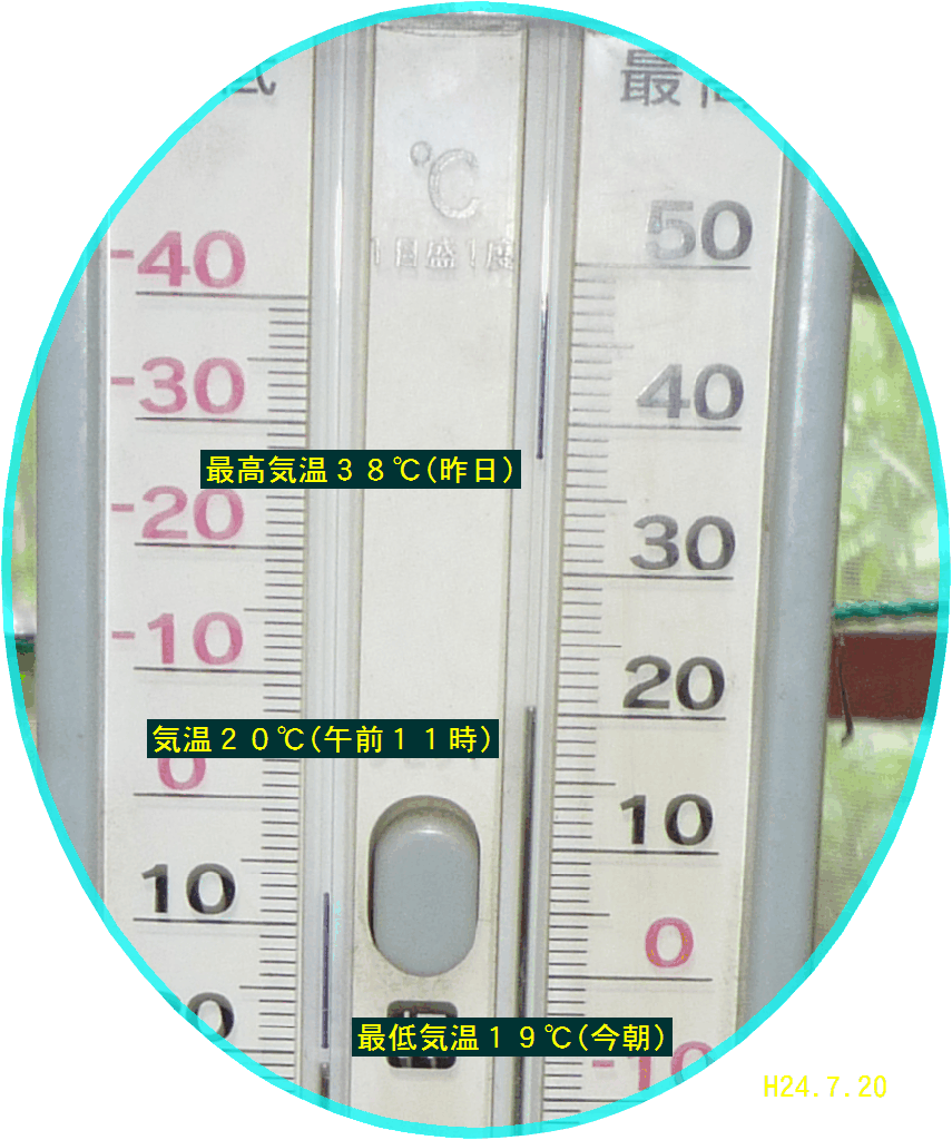 画像１（温度計）