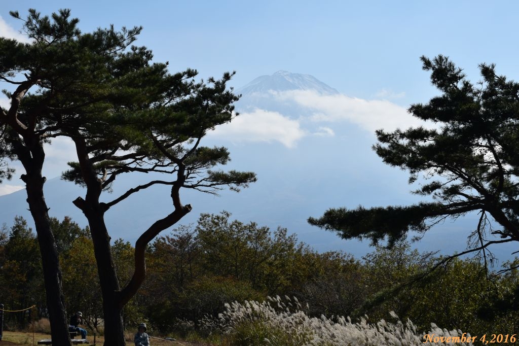 画像７（三湖台から富士山）