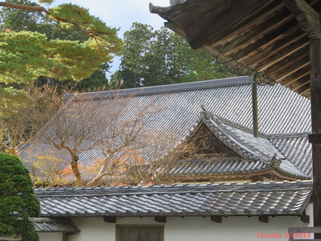 画像９（瑞巌寺）