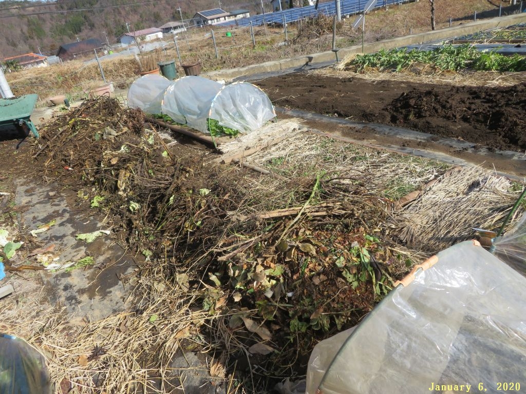 画像6(キャベツの跡地) 画像6(キャベツの跡地)