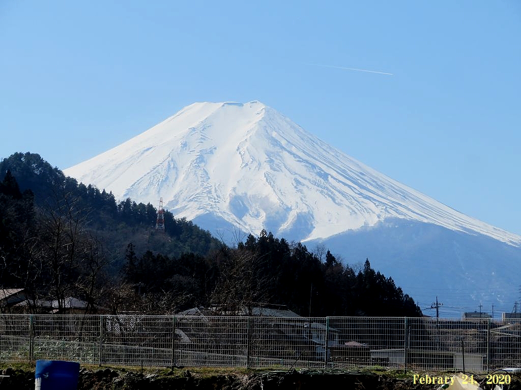 画像７（富士山）