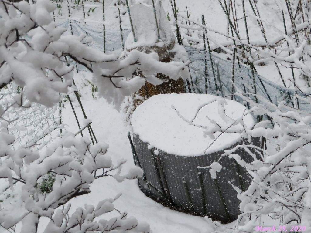 画像６（山芋とゴボウのタワー）