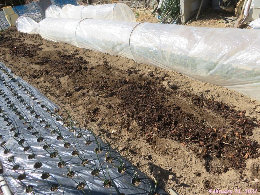 画像８ 野菜くずの堆肥