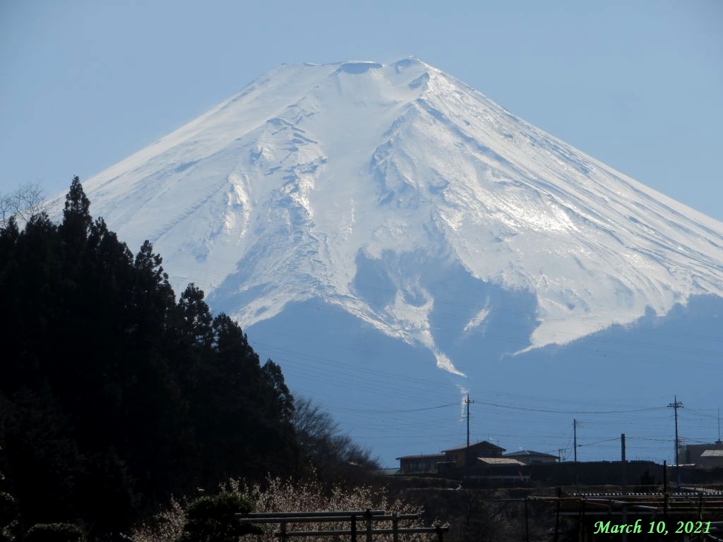 画像７（富士山）