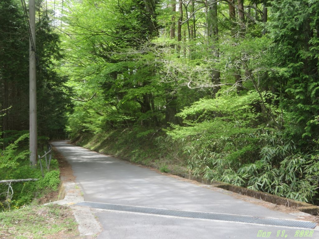 画像７（二十曲峠への道）
