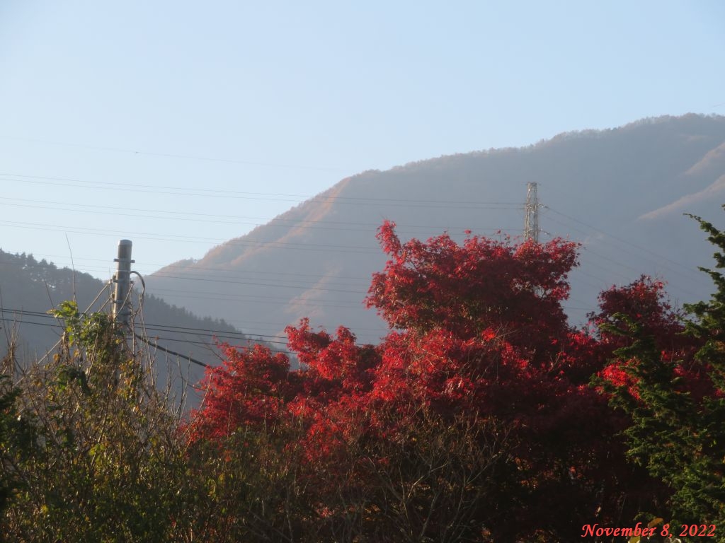 画像１（今朝の空）