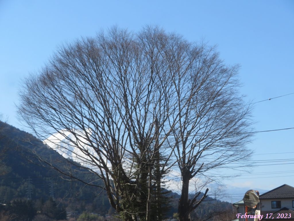 画像２（富士山）