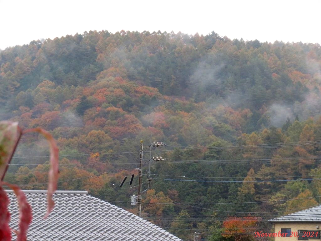 画像3（朝の山々）