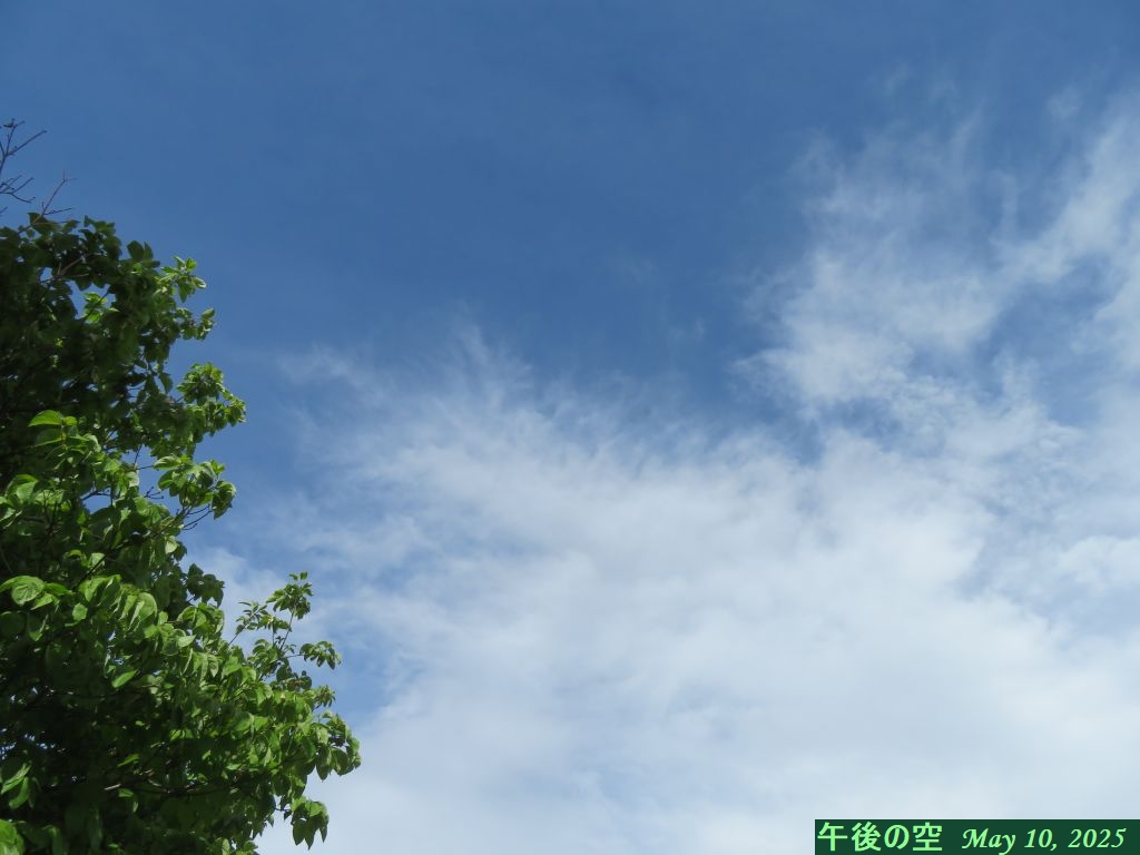 画像１（午後の空）