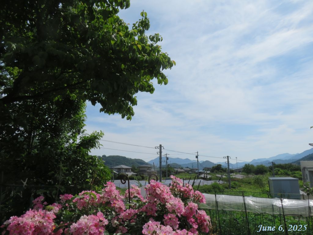 画像１（今朝の空）