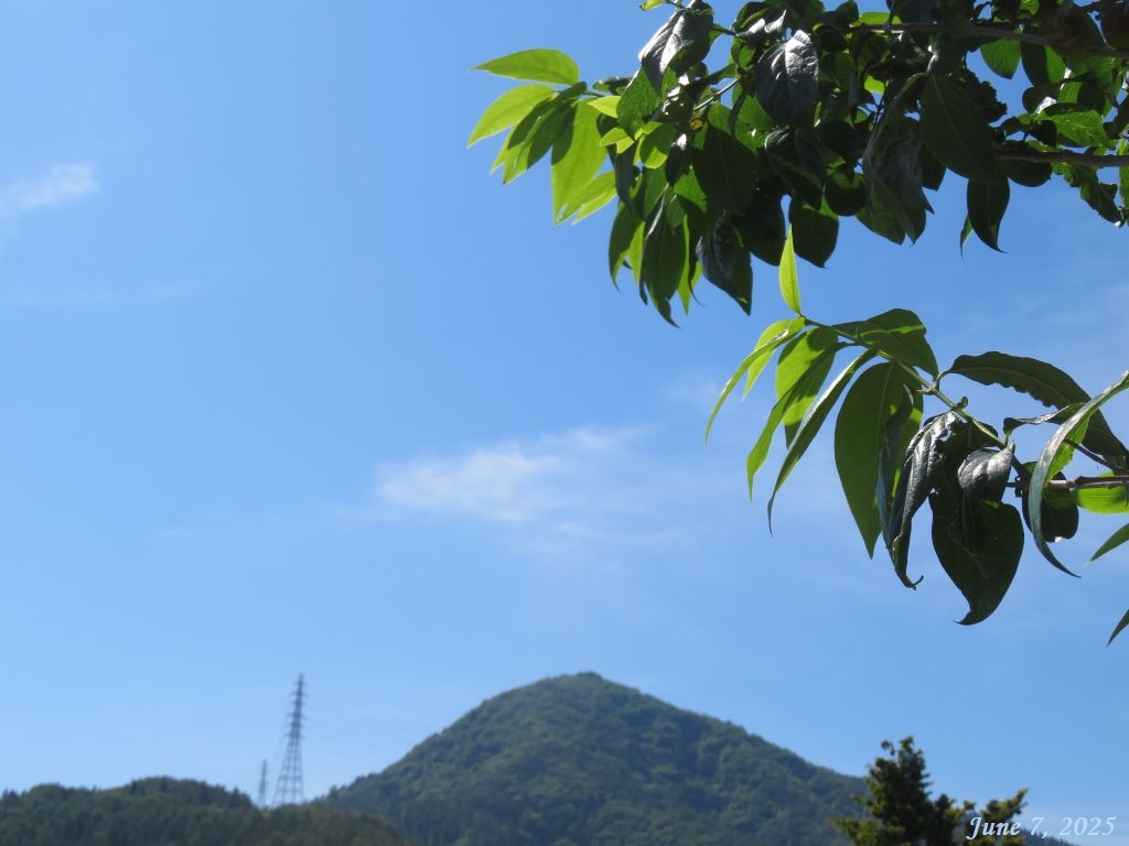 画像１（今朝の空）