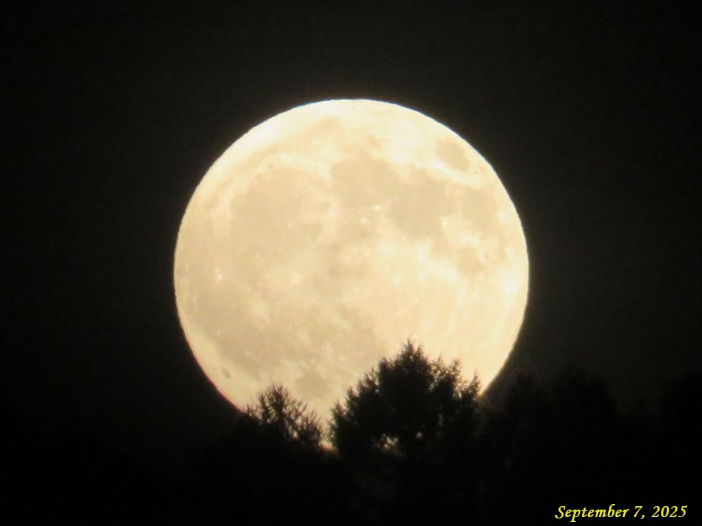 画像3(昨夜の月) 画像3(昨夜の月)