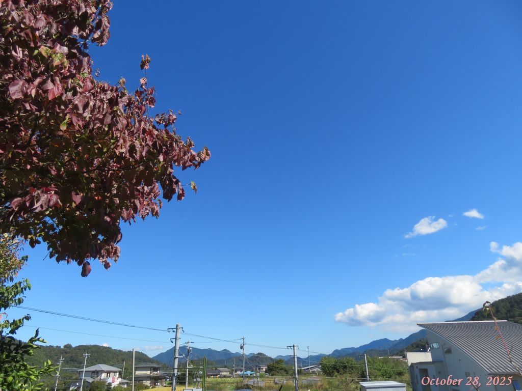 画像1(今日の空) 画像1(今日の空)