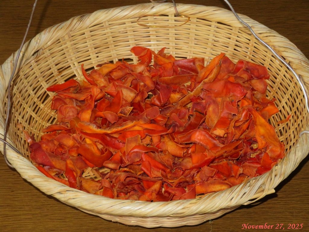 画像13(柿の皮) 画像13(柿の皮)