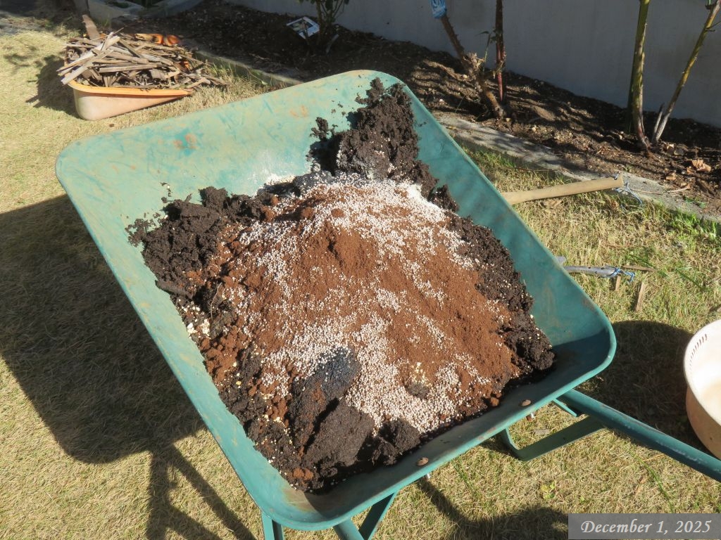 画像６（バラの手入れ　堆肥等）