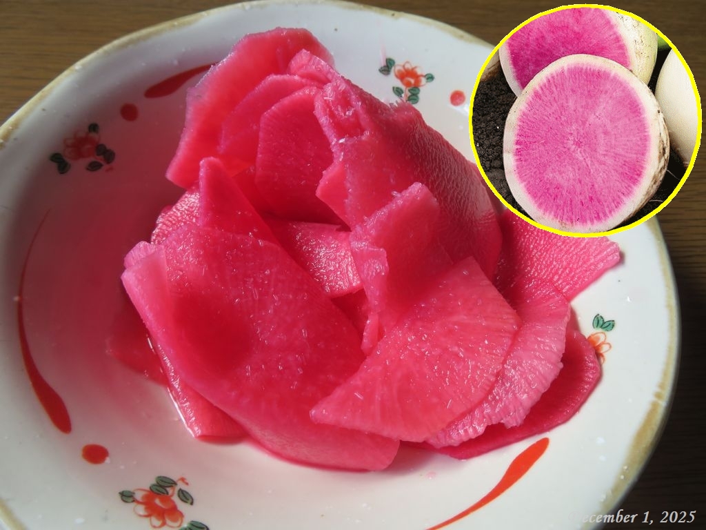 画像１０（紅心大根の甘酢漬け）