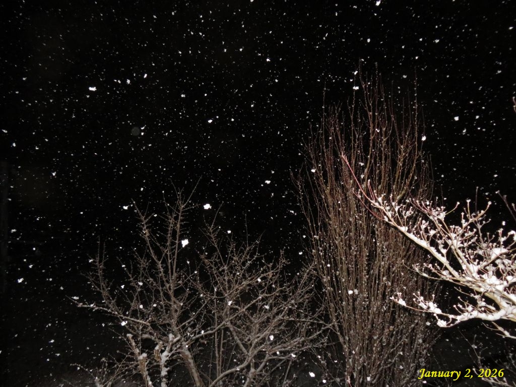 画像４（初雪）