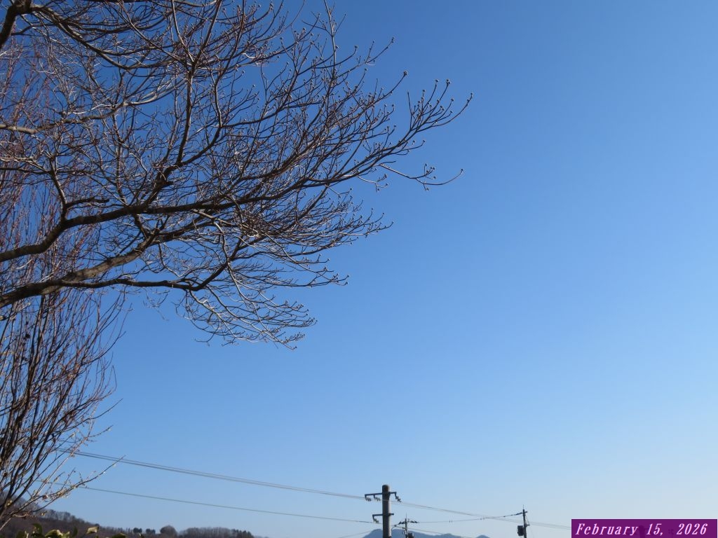 画像１（今朝の空）