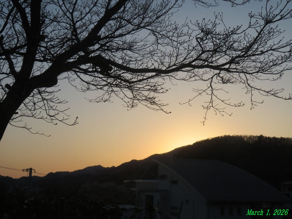 画像１（日の出前の東の空）