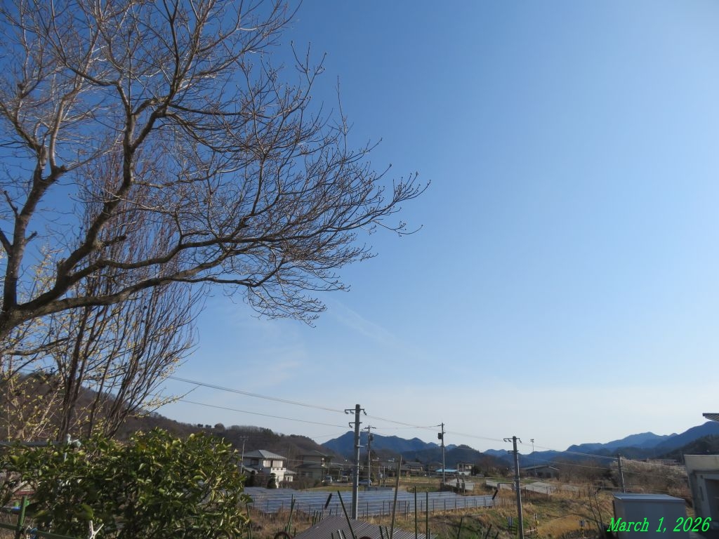 画像２（今朝の空）