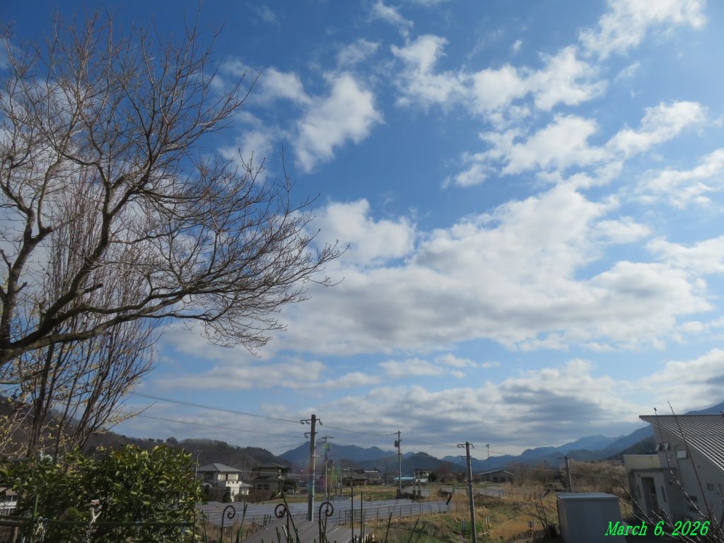 画像1(今朝の空) 画像1(今朝の空)