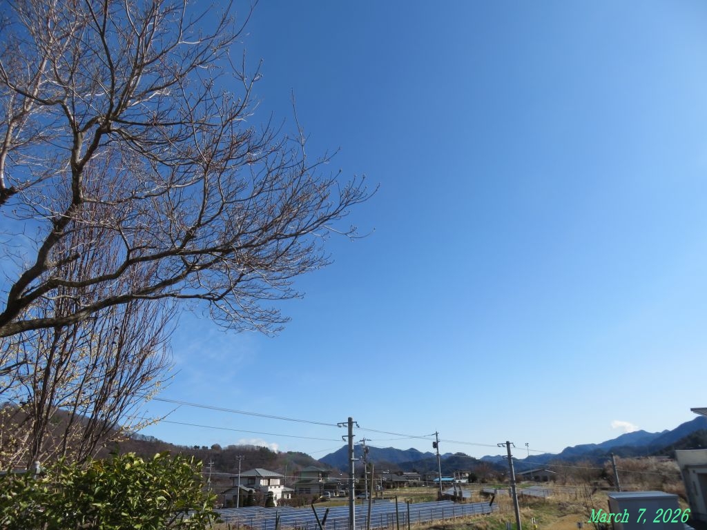 画像１（今朝の空）