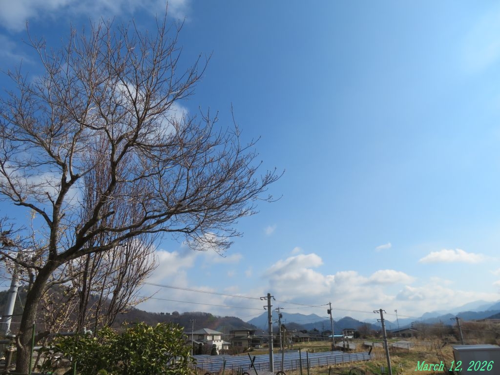 画像１（今朝の空）