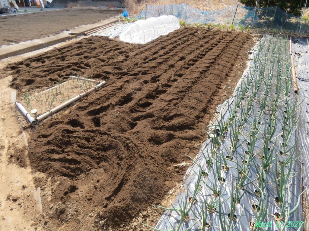 画像１０（耕耘）