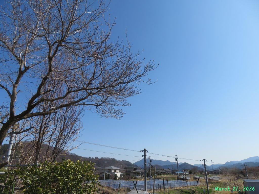 画像１（今朝の空）