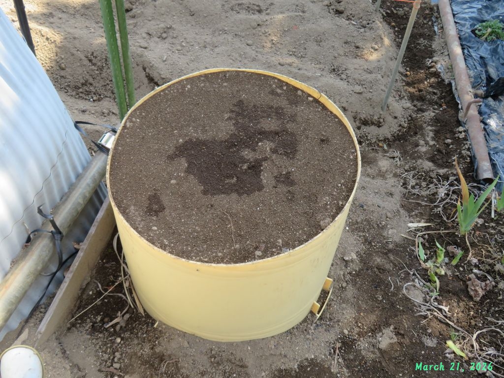 画像６（ゴボウの種蒔き）