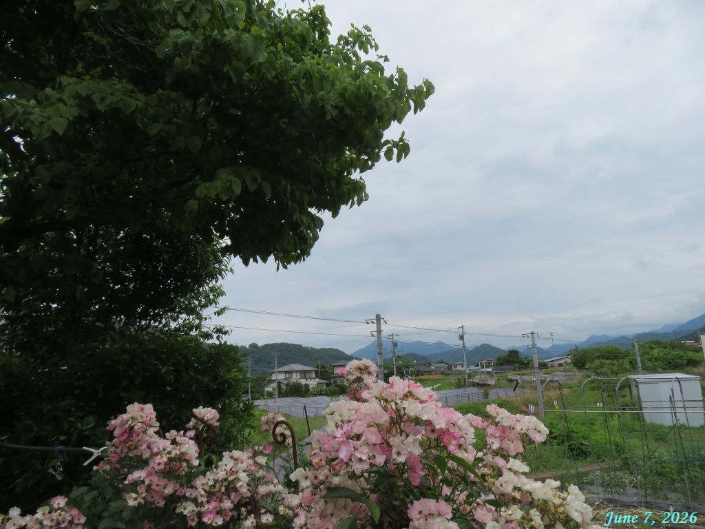 画像１（今朝の空）